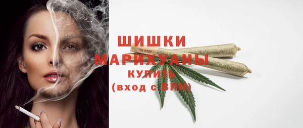 стаф Новозыбков