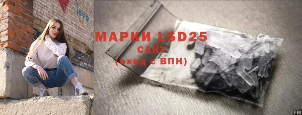 стаф Новозыбков